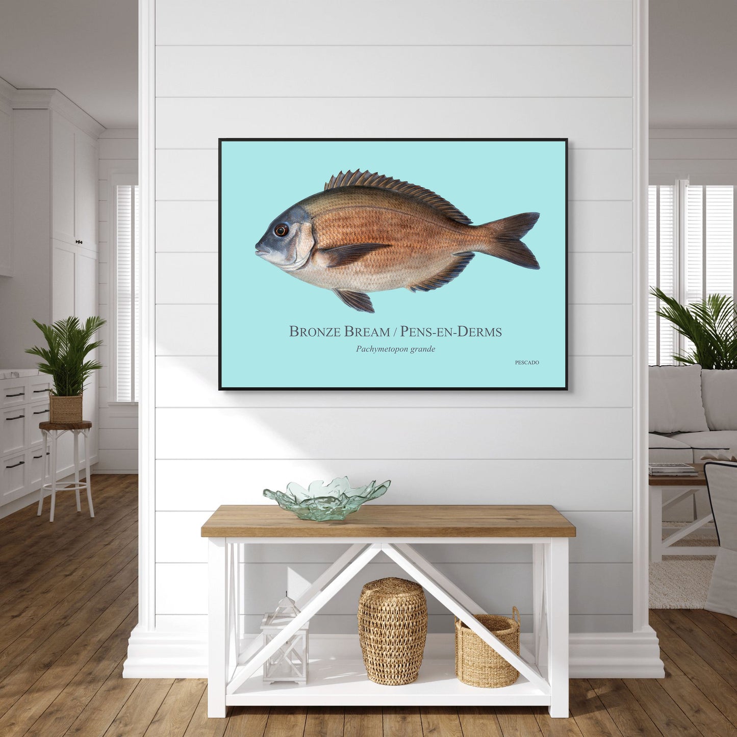 Bronze Bream