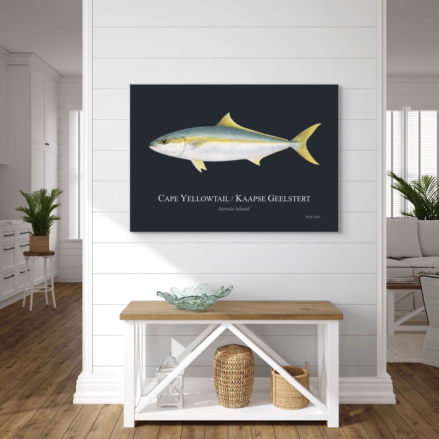 Cape Yellowtail
