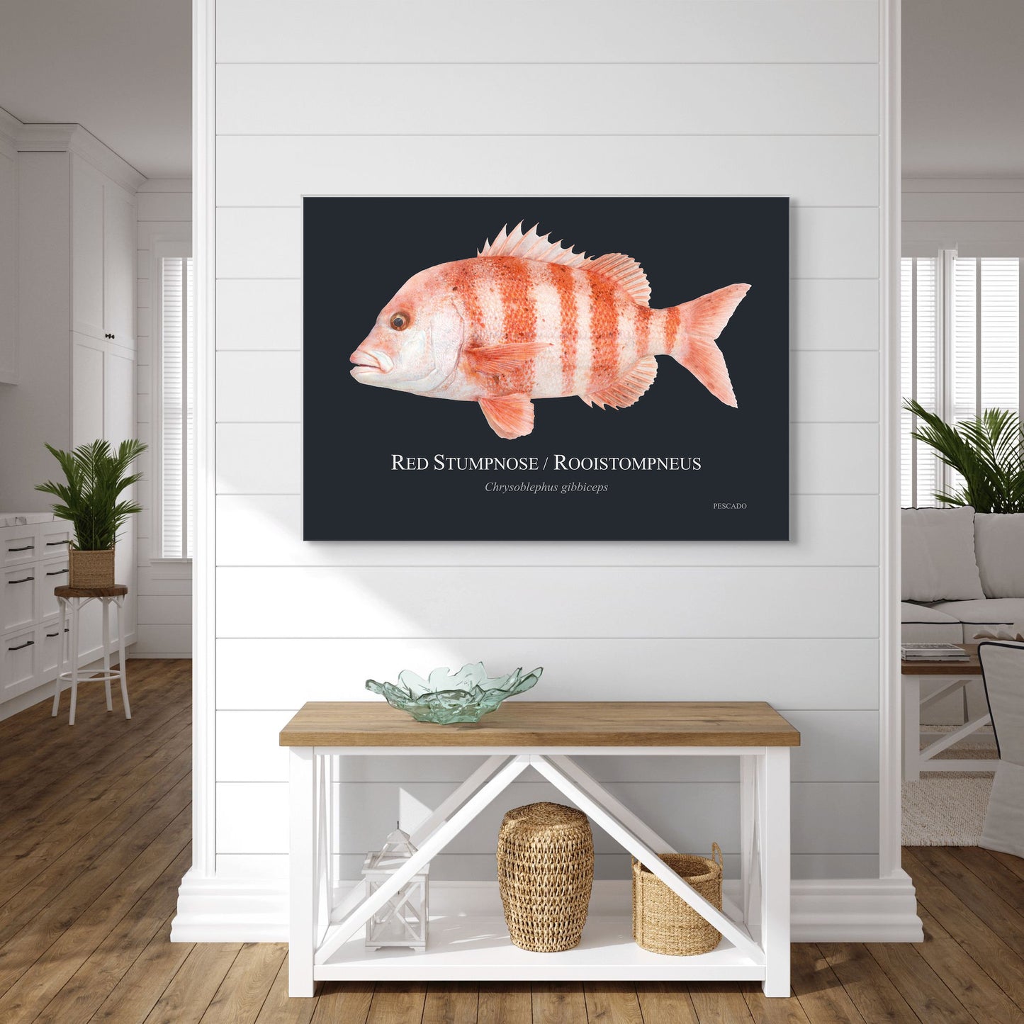 Red Stumpnose