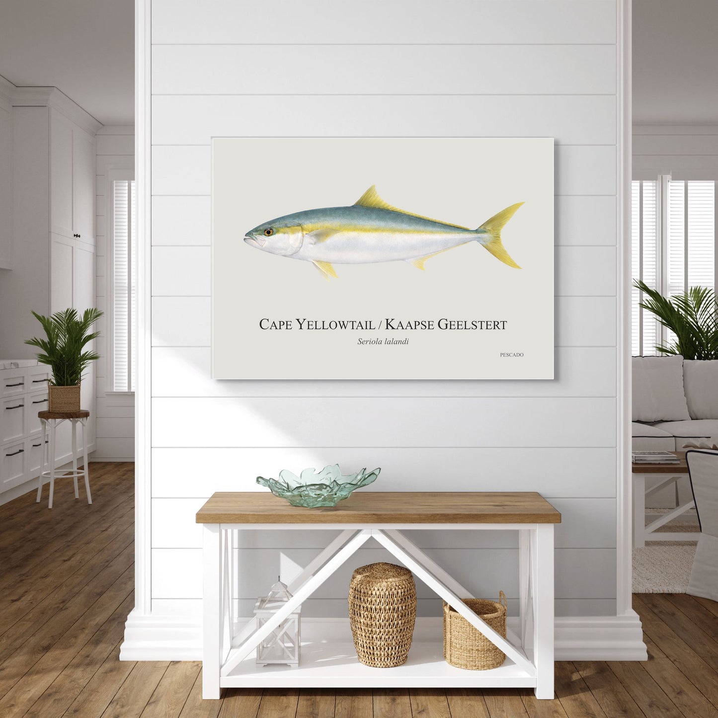 Cape Yellowtail