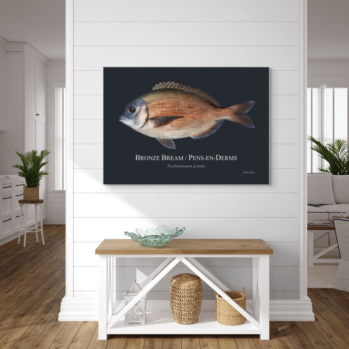 Bronze Bream