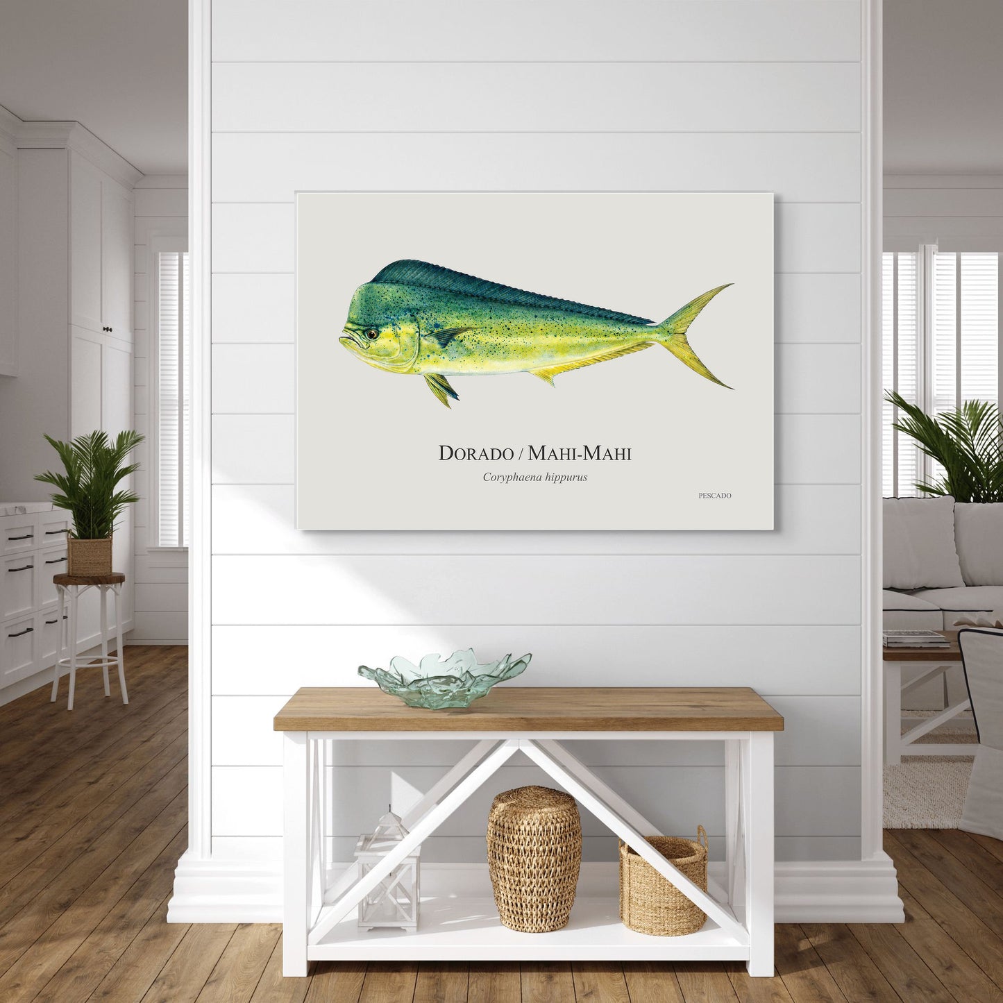 Dorado