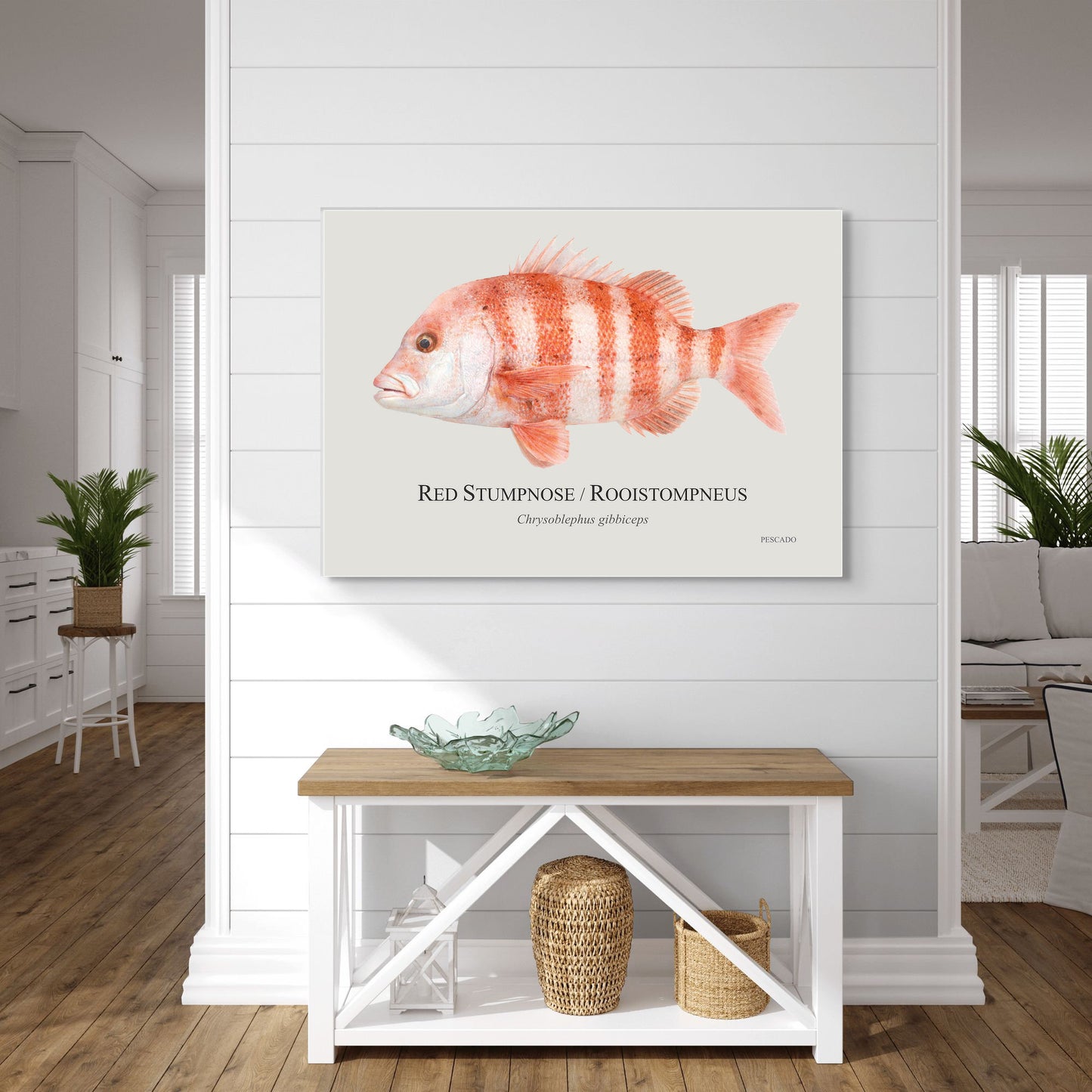 Red Stumpnose