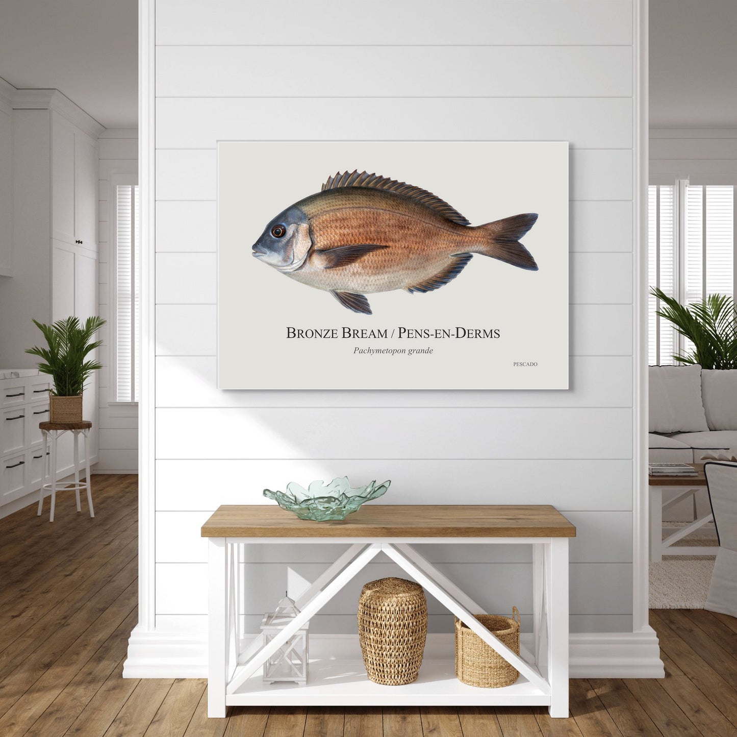 Bronze Bream
