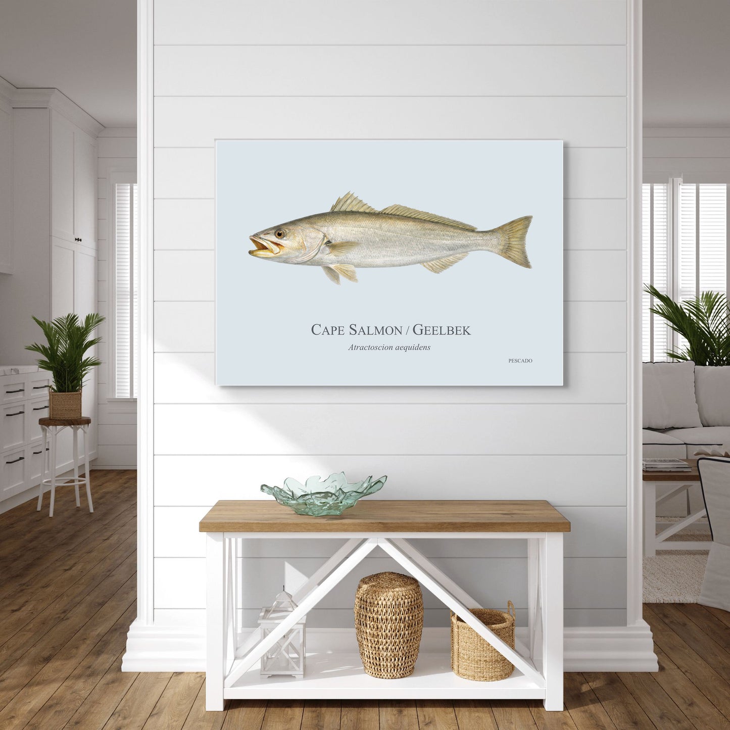 Cape Salmon