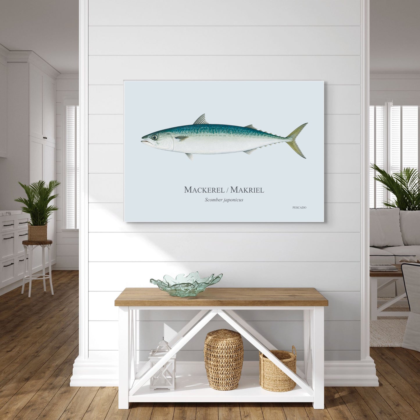 Mackerel / Makriel