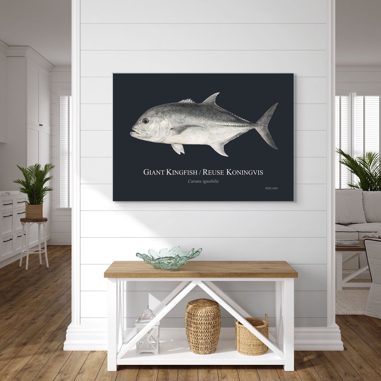 Giant Kingfish