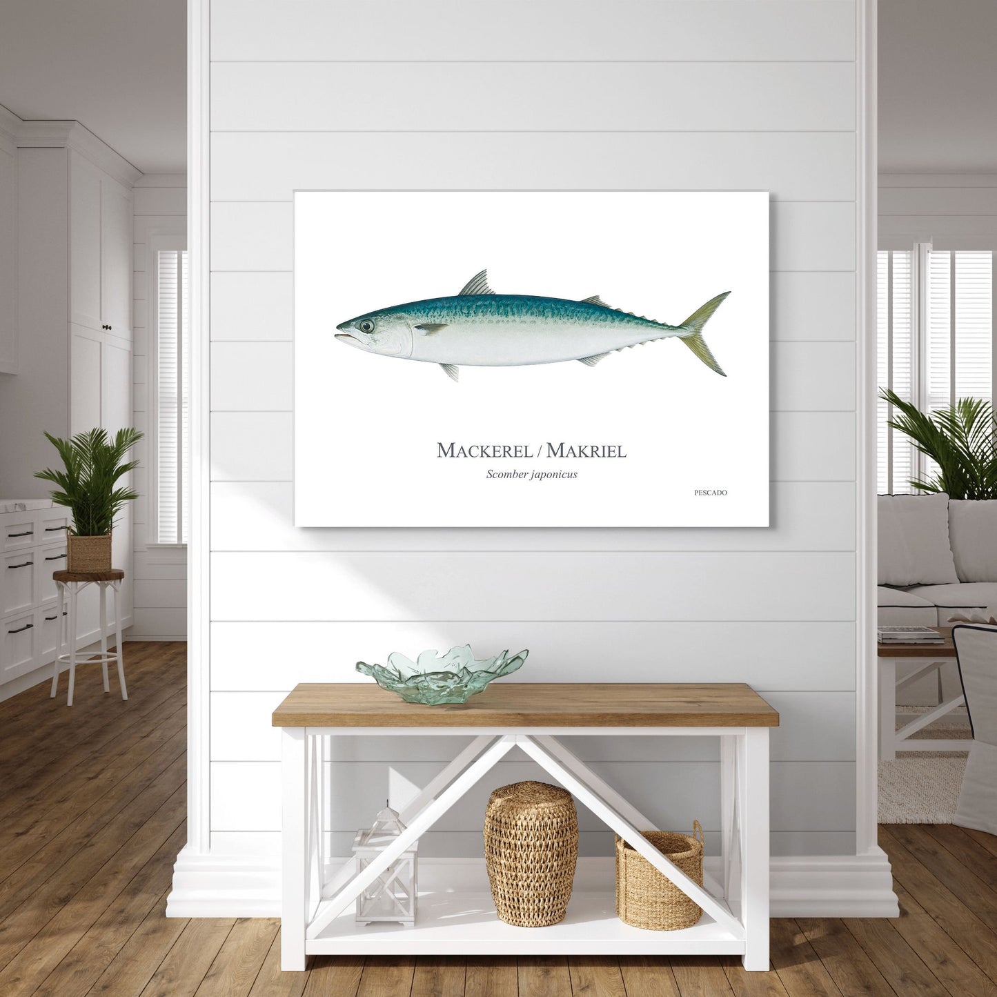 Mackerel / Makriel