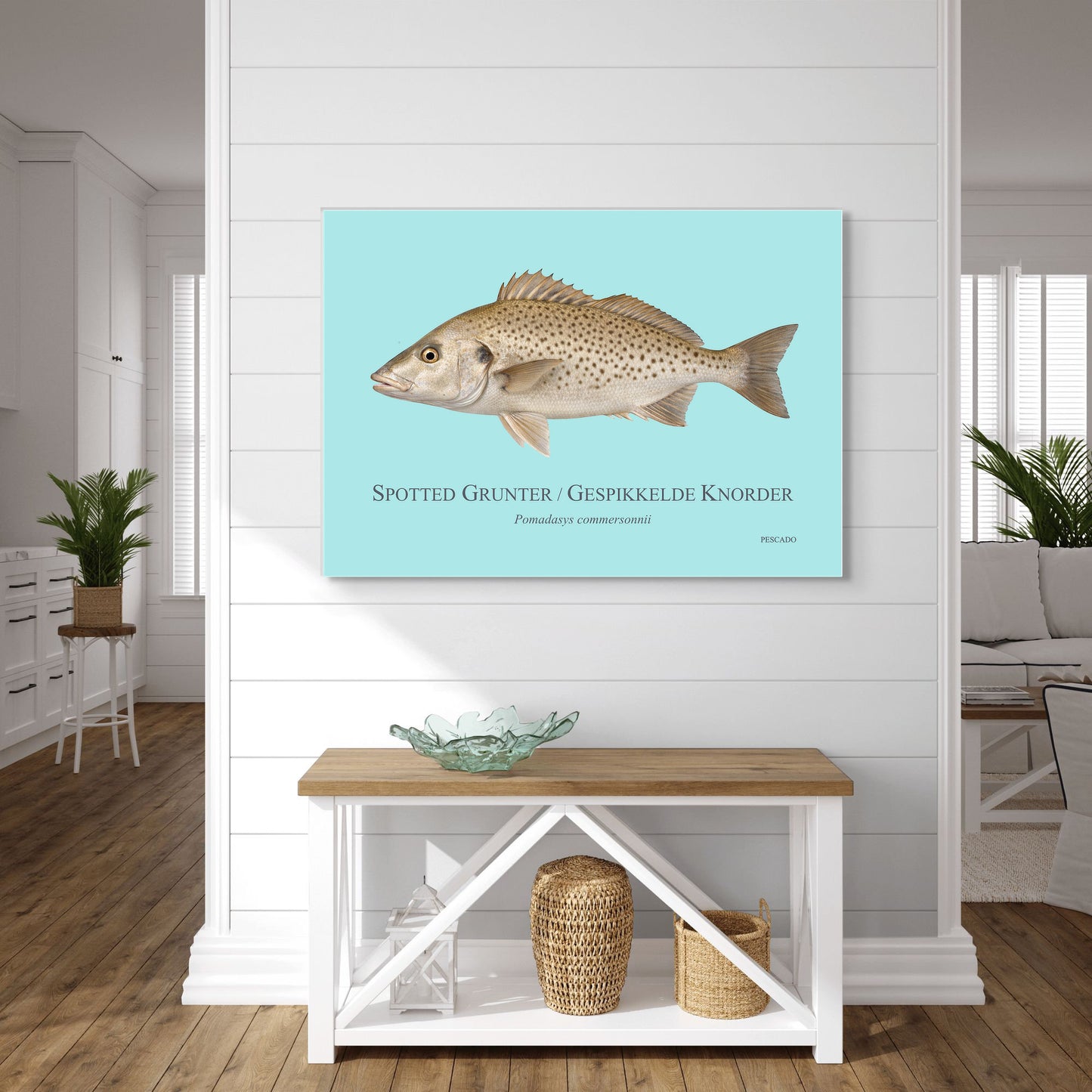 Spotted Grunter