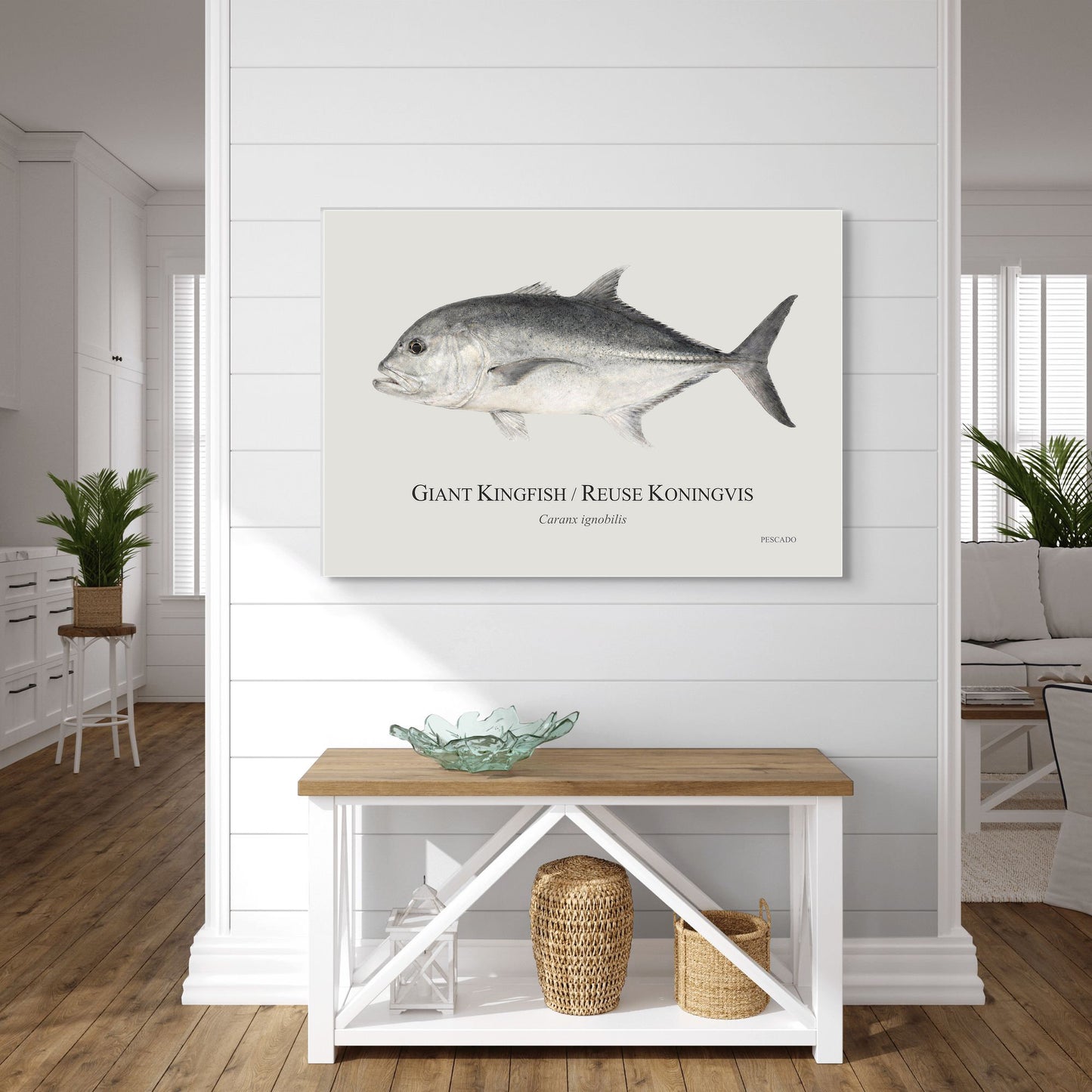 Giant Kingfish