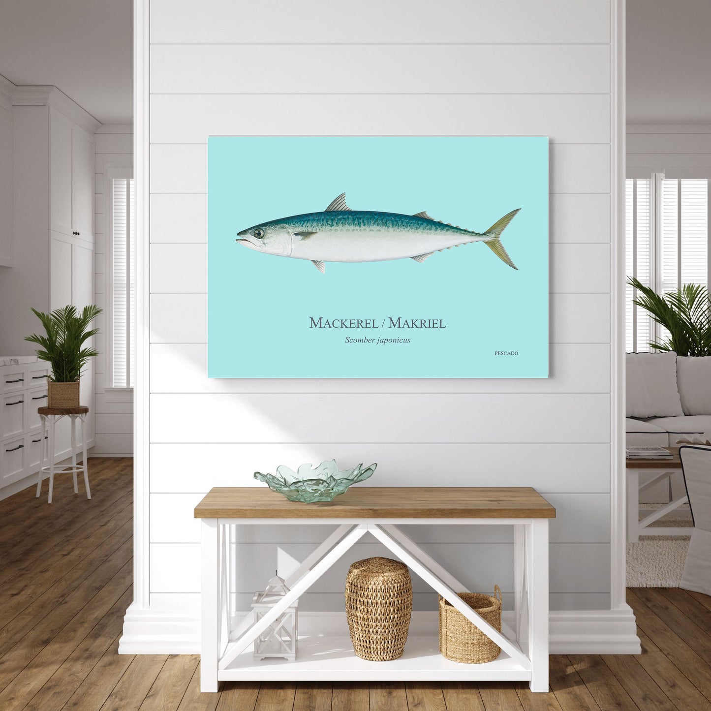 Mackerel / Makriel