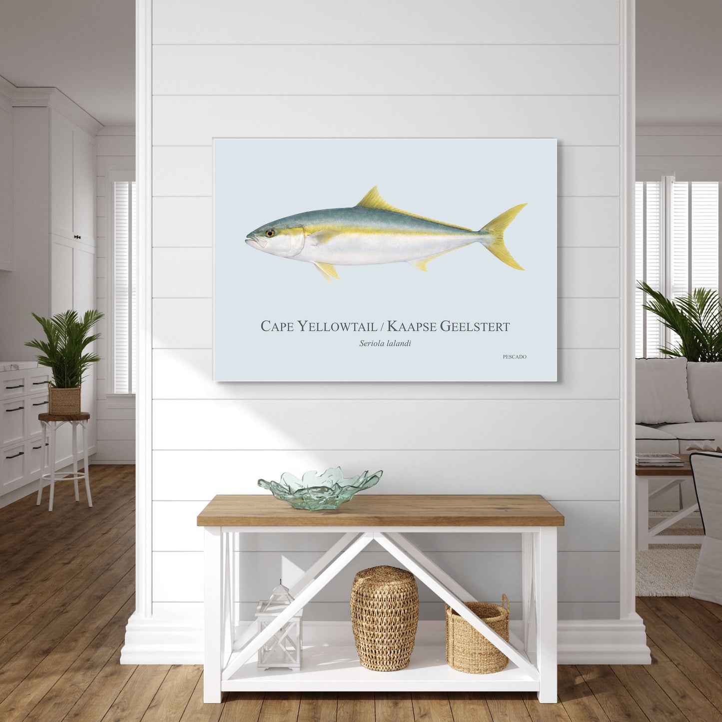 Cape Yellowtail