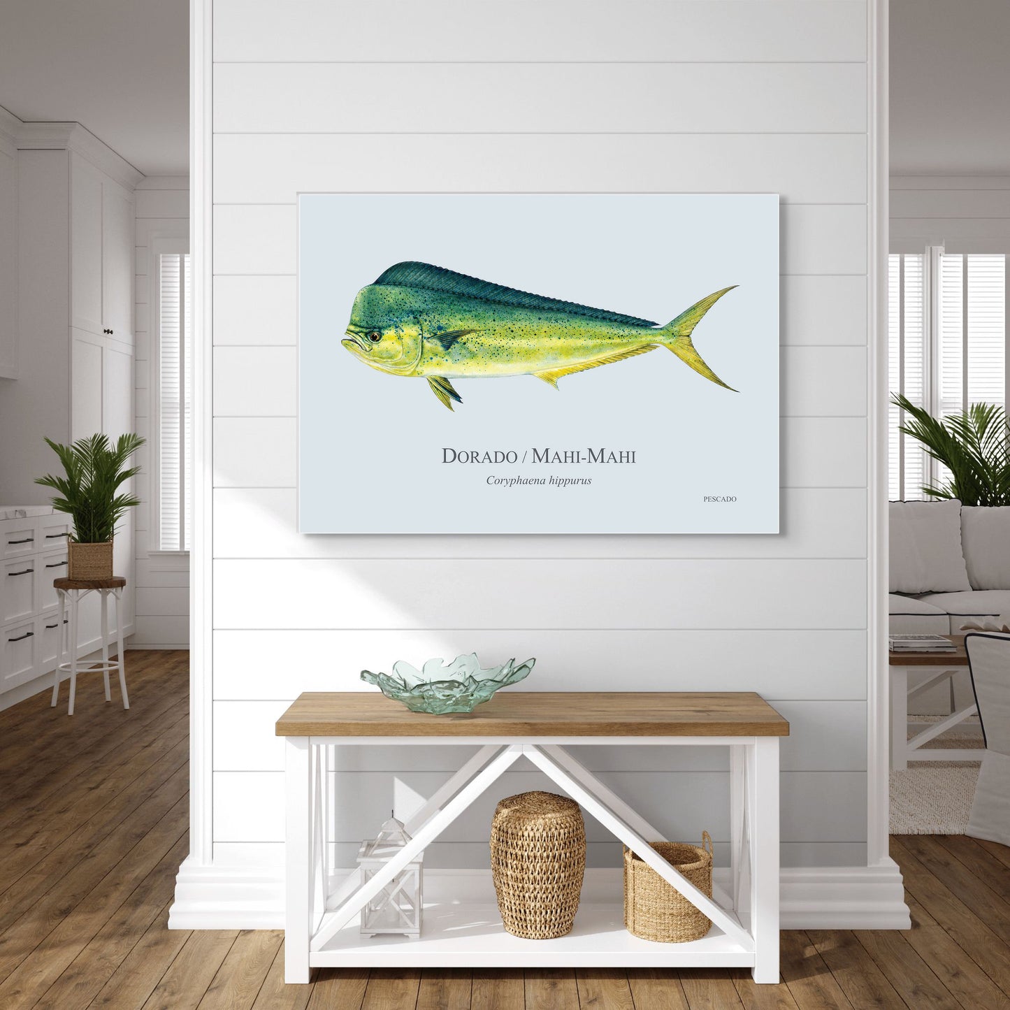 Dorado
