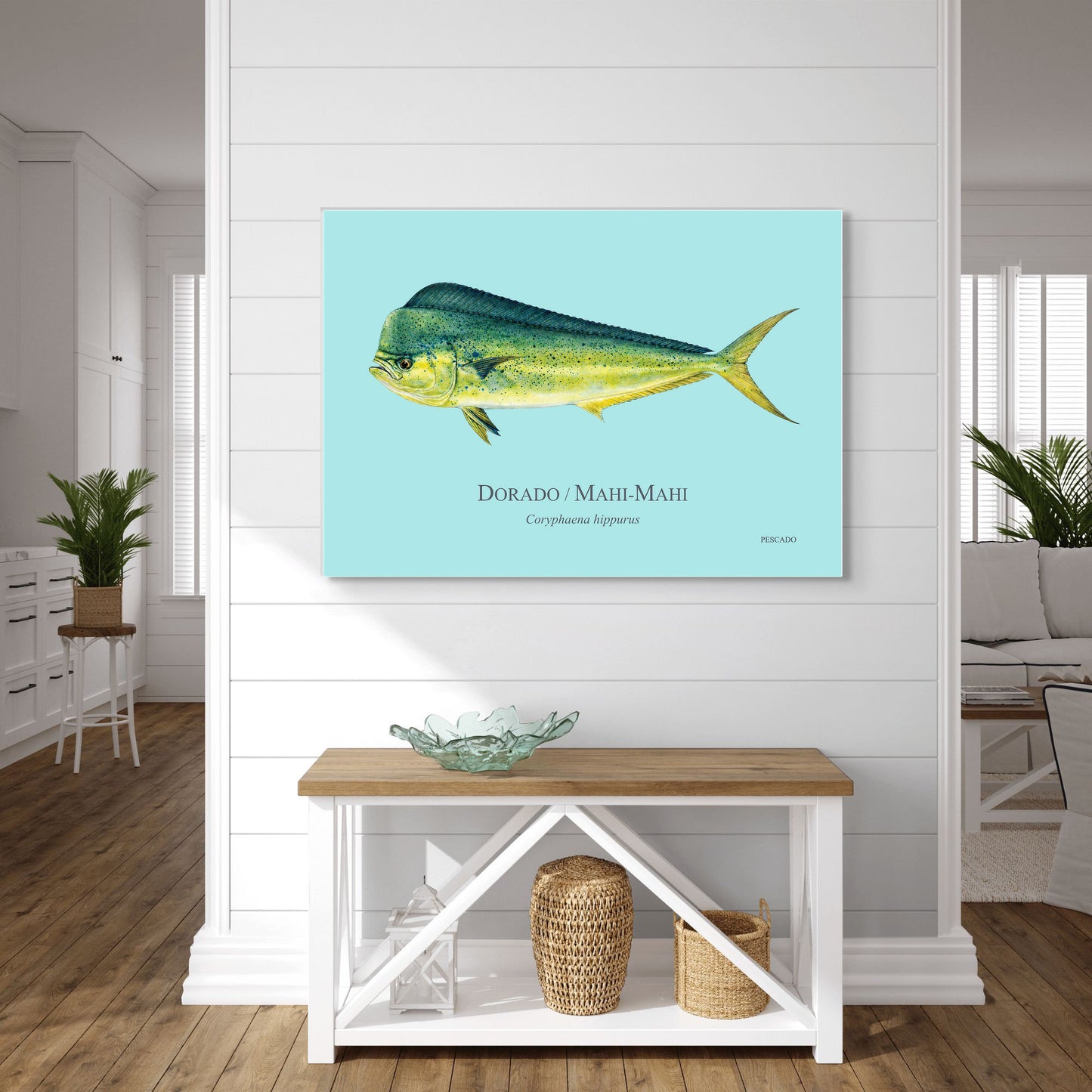 Dorado