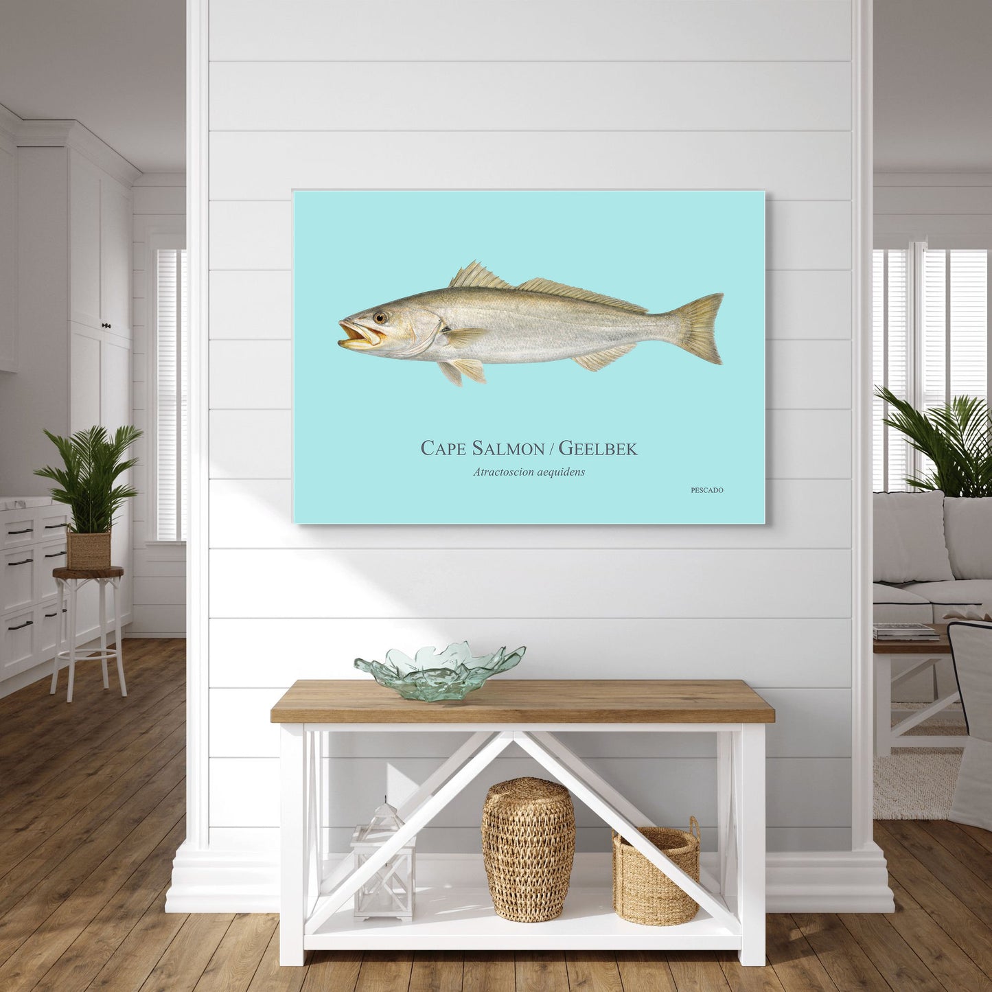 Cape Salmon