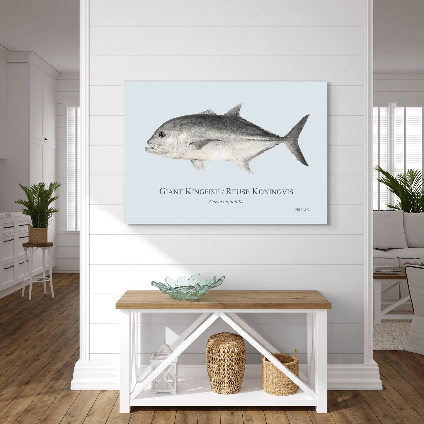 Giant Kingfish