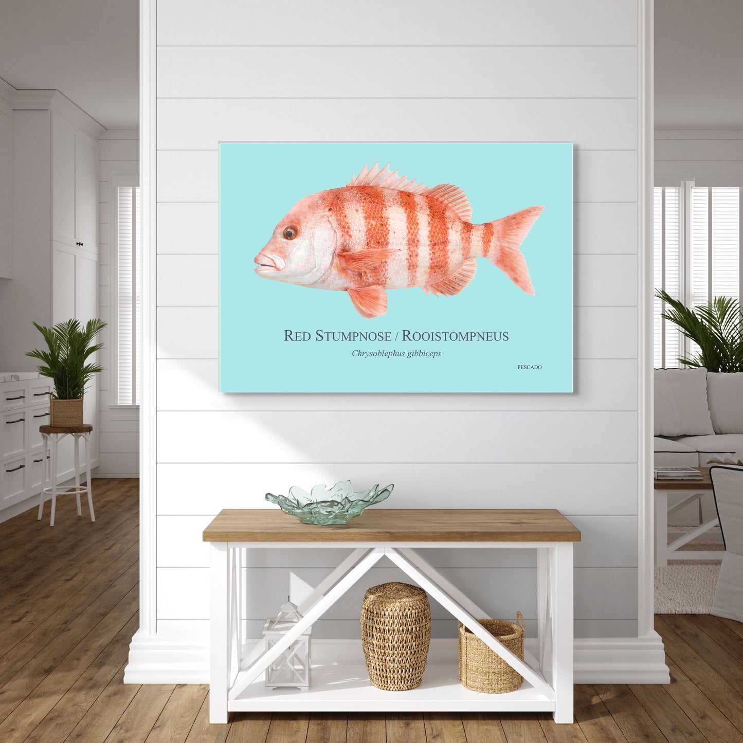 Red Stumpnose