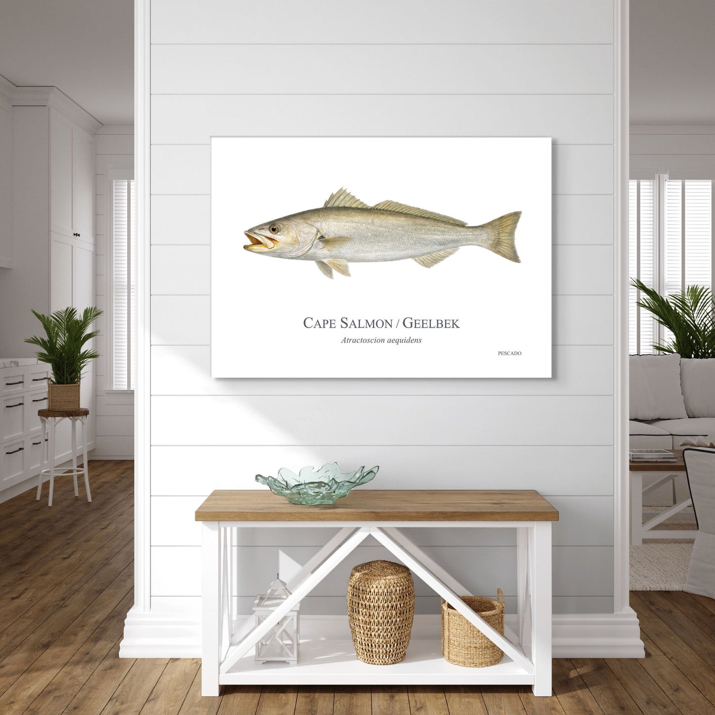 Cape Salmon
