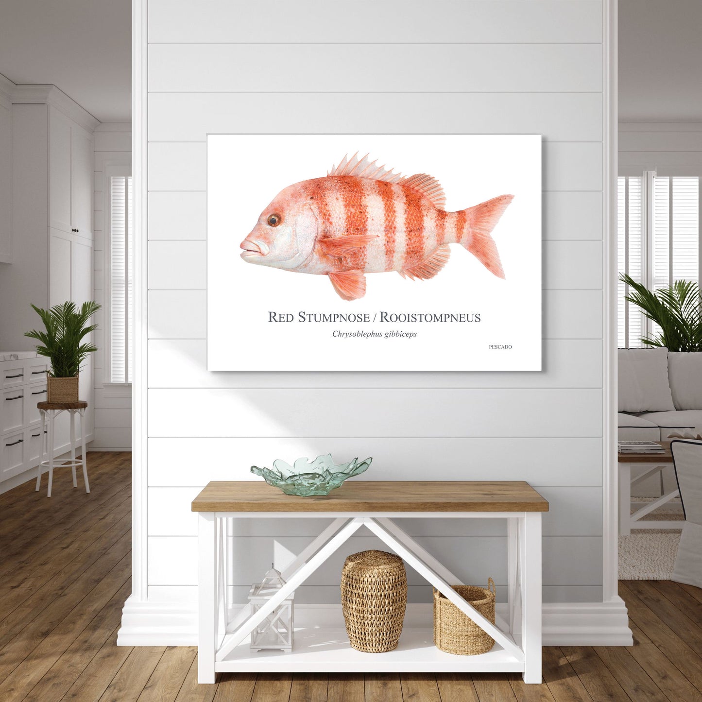 Red Stumpnose