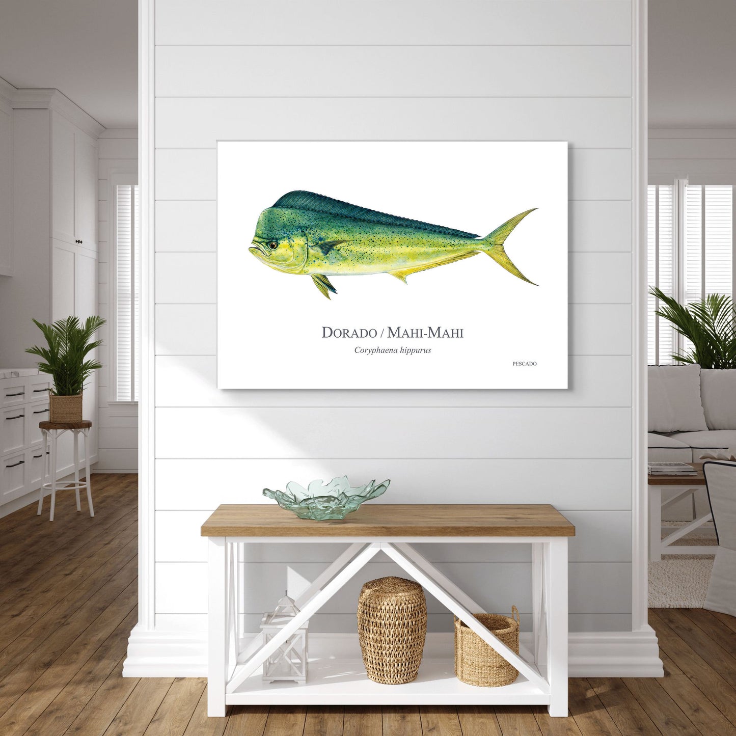 Dorado
