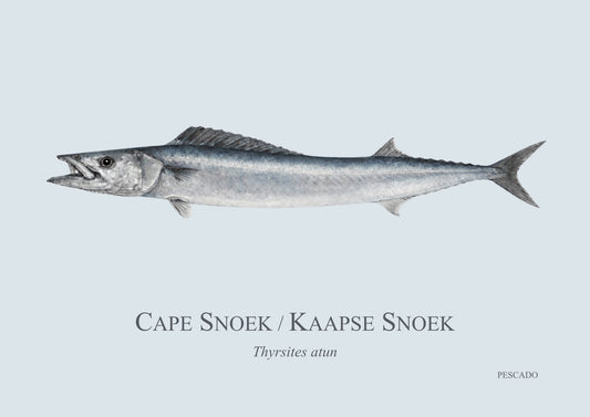 Cape Snoek