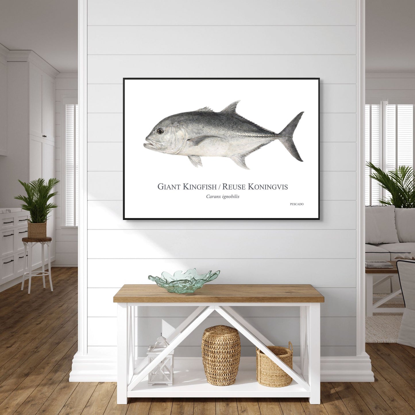 Giant Kingfish