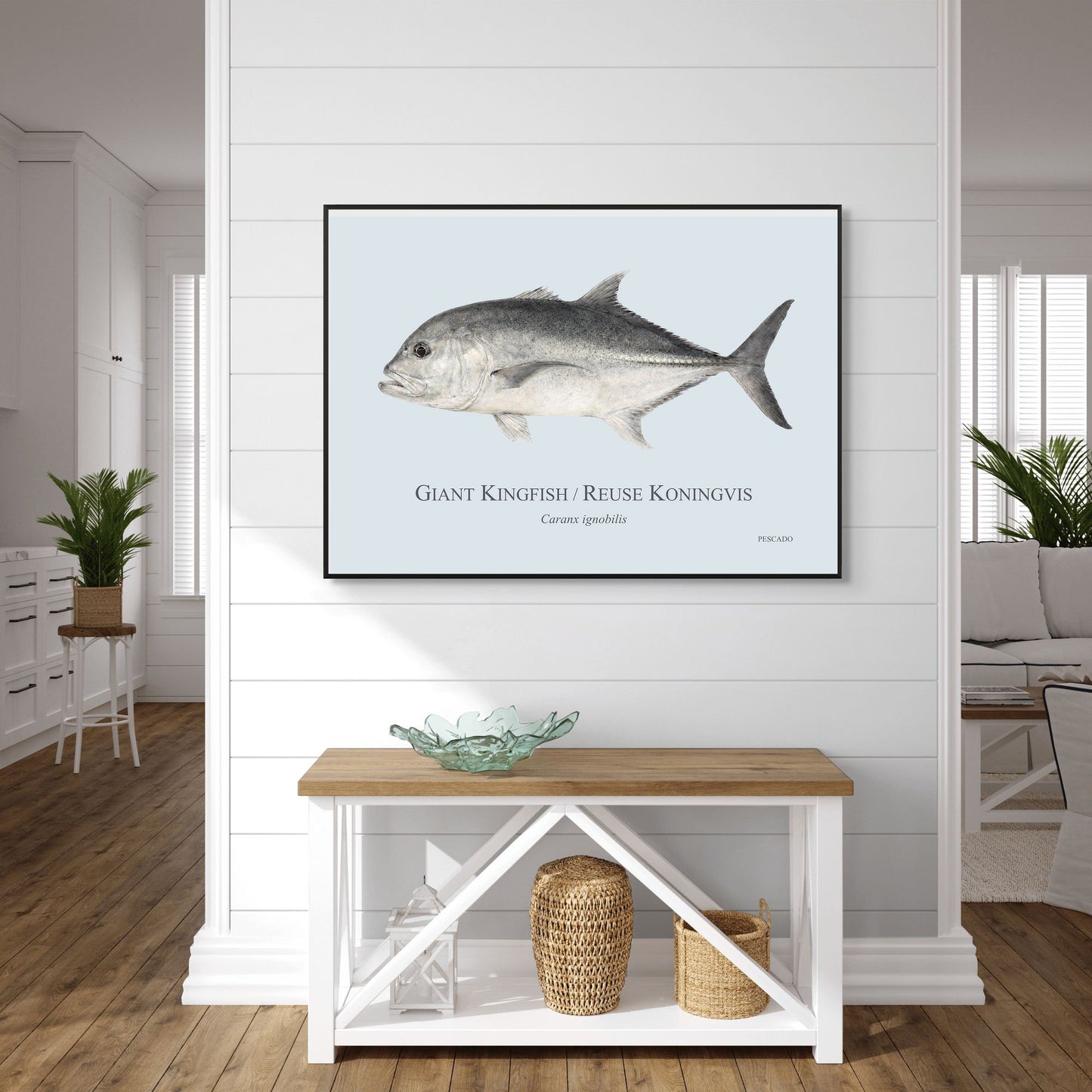 Giant Kingfish