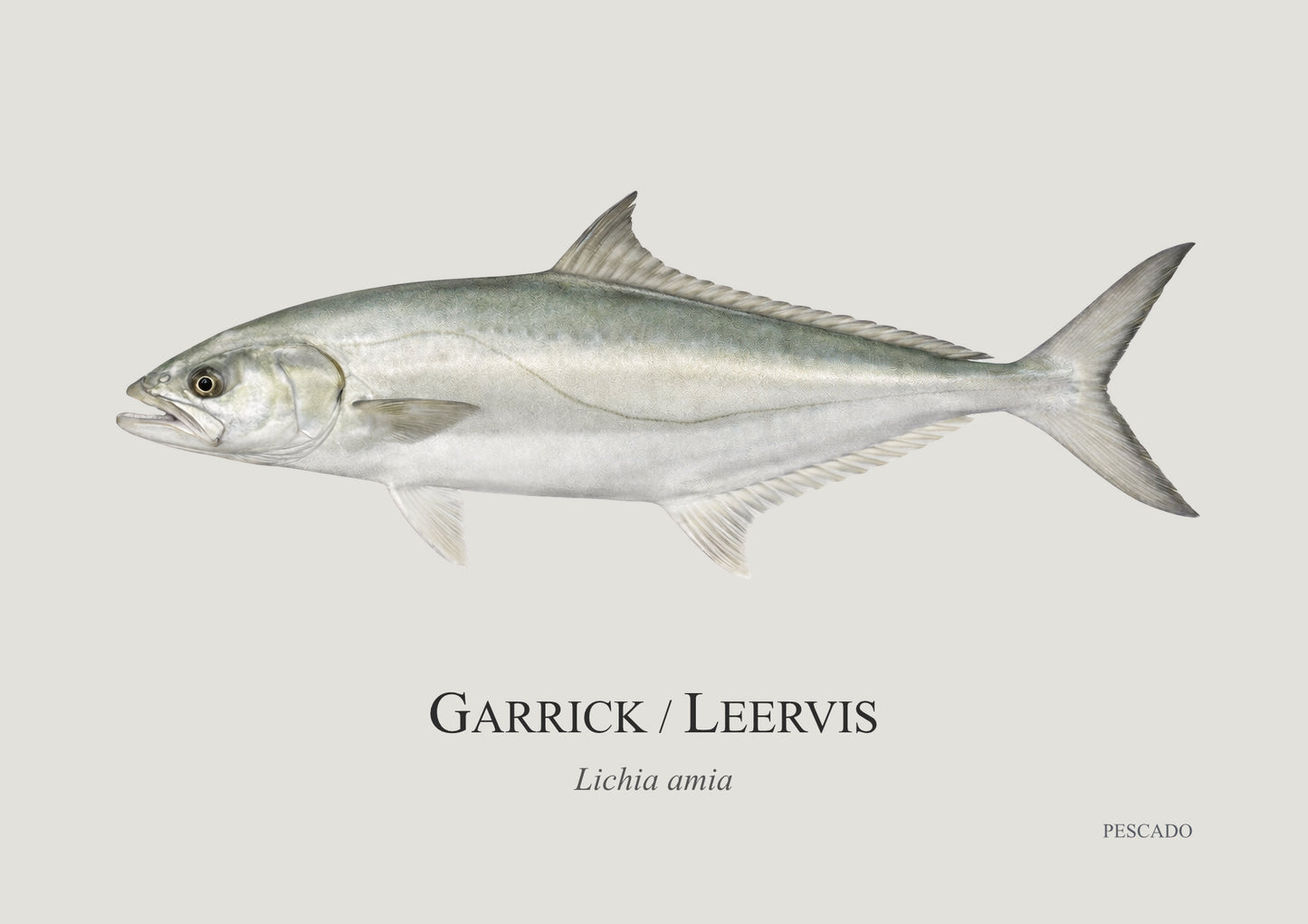 Garrick
