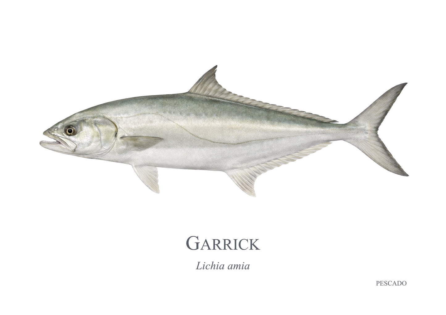 Garrick