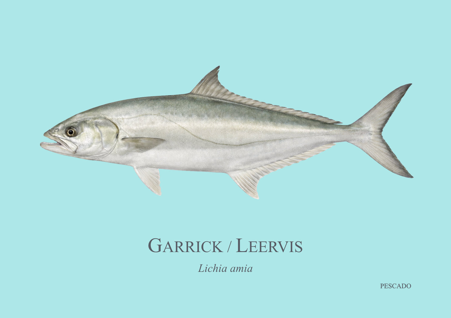 Garrick