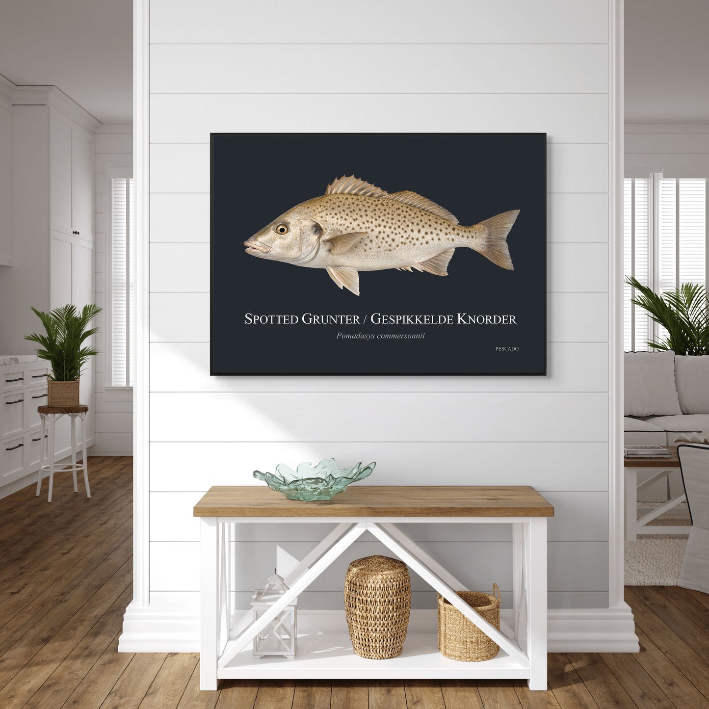Spotted Grunter