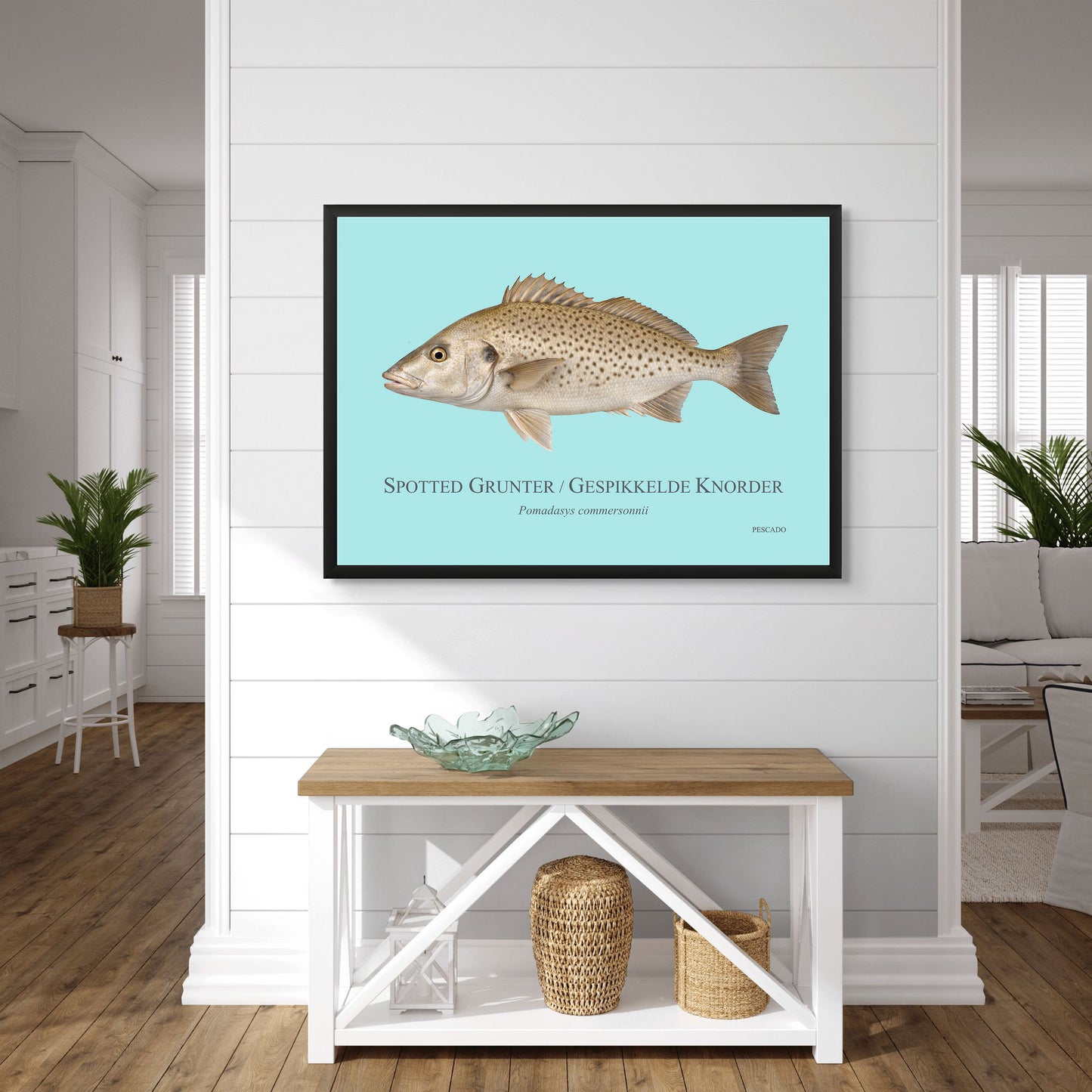 Spotted Grunter