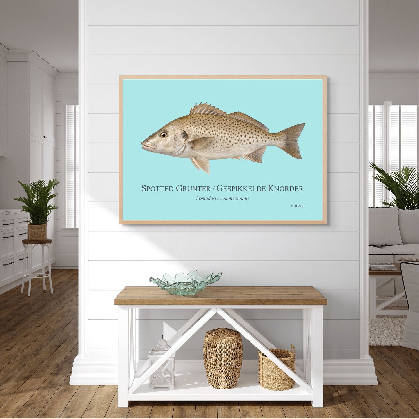 Spotted Grunter