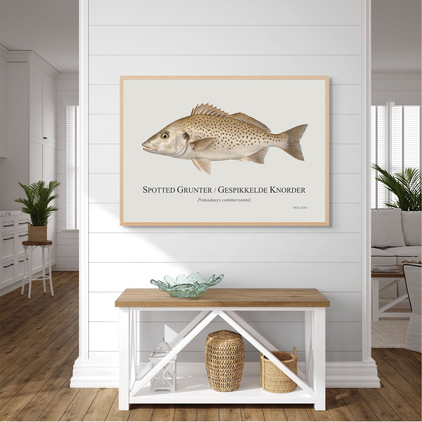 Spotted Grunter