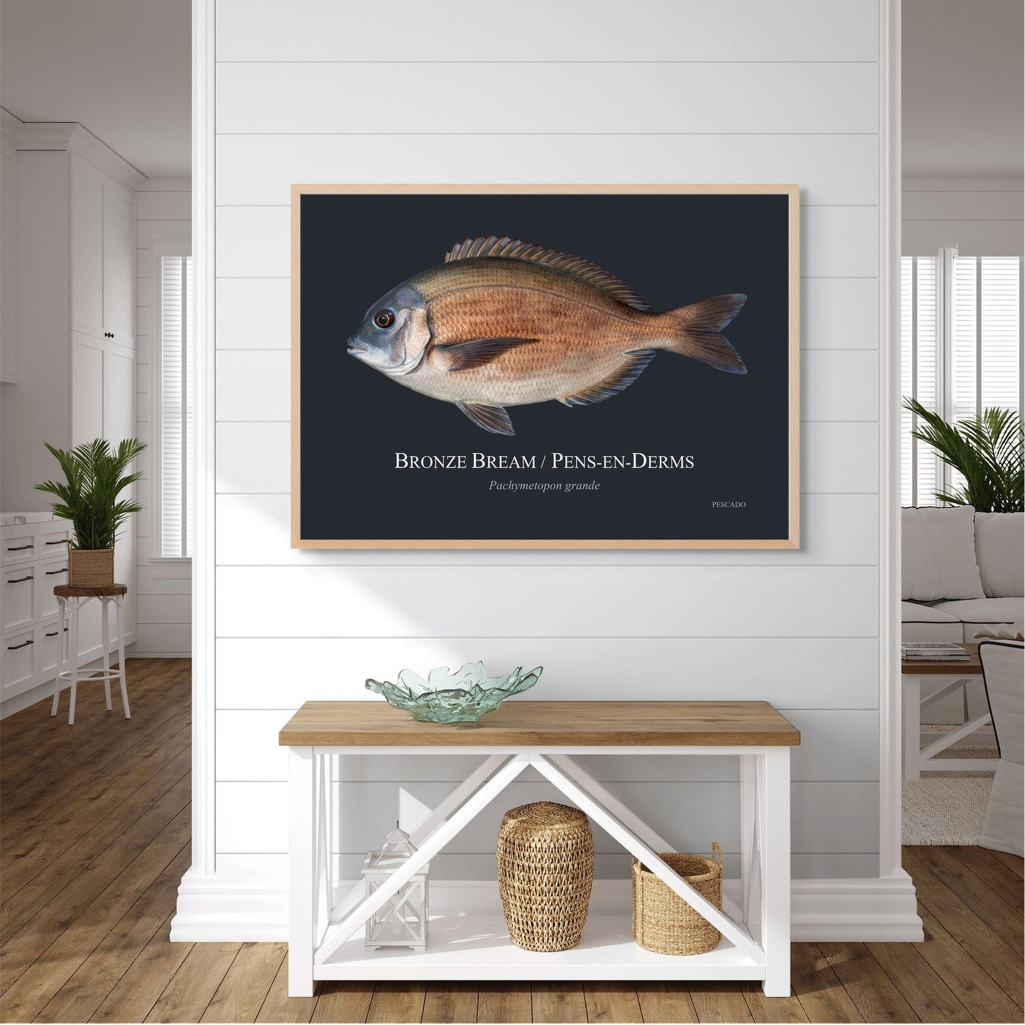 Bronze Bream