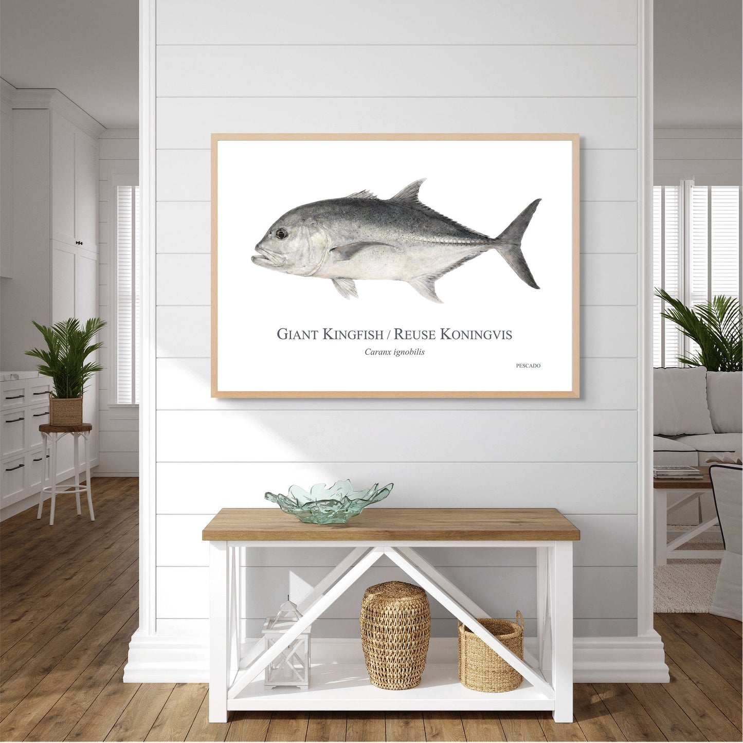 Giant Kingfish