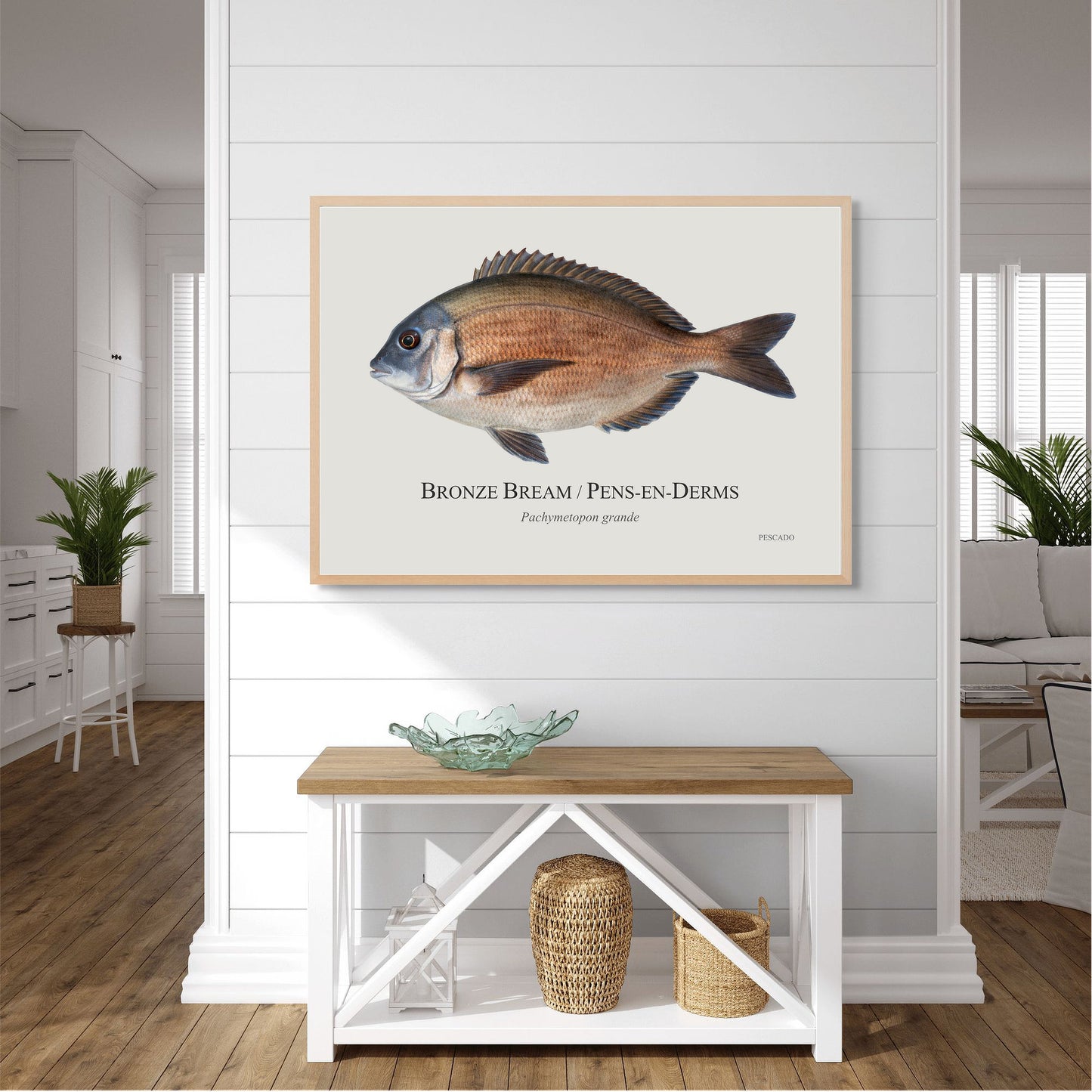 Bronze Bream