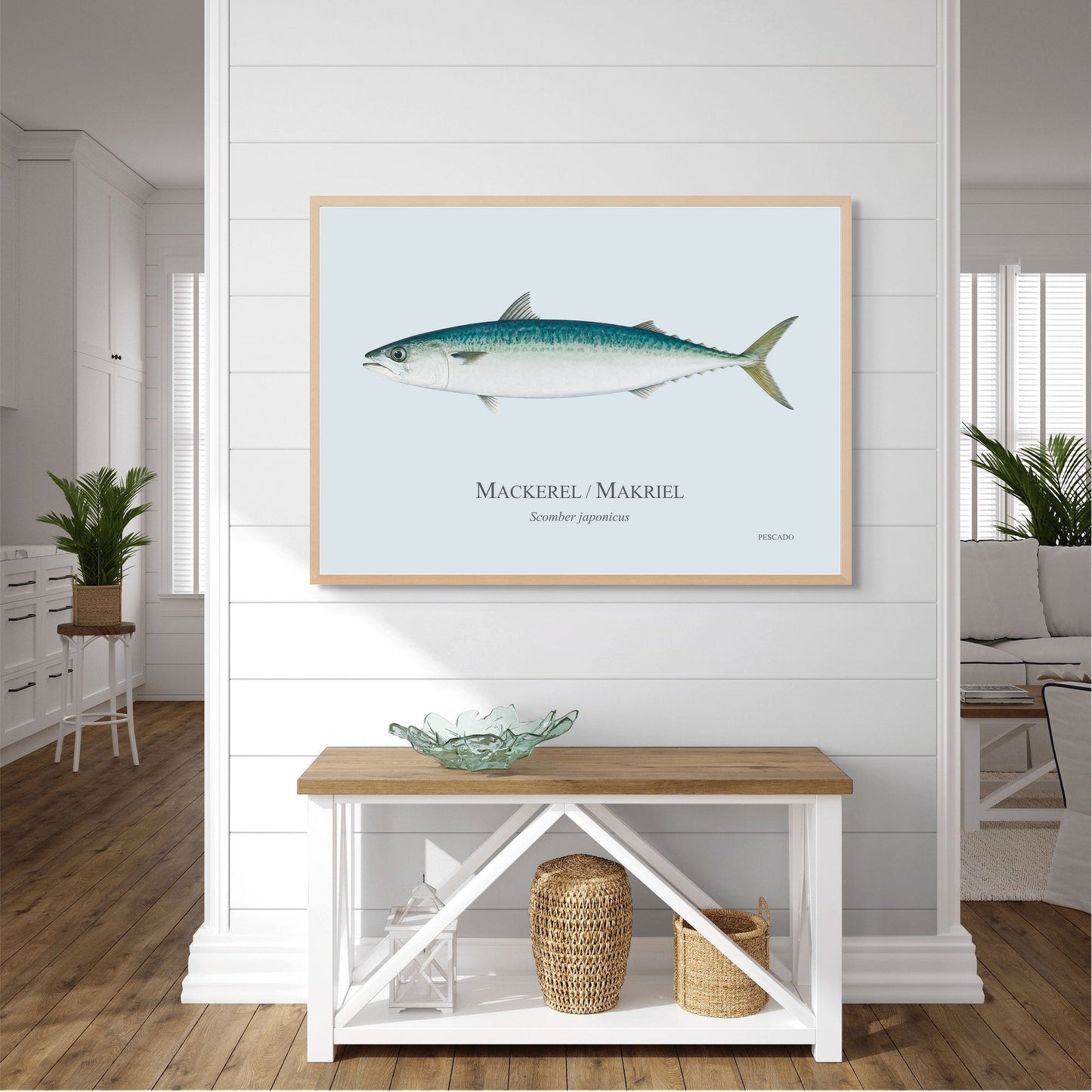 Mackerel / Makriel