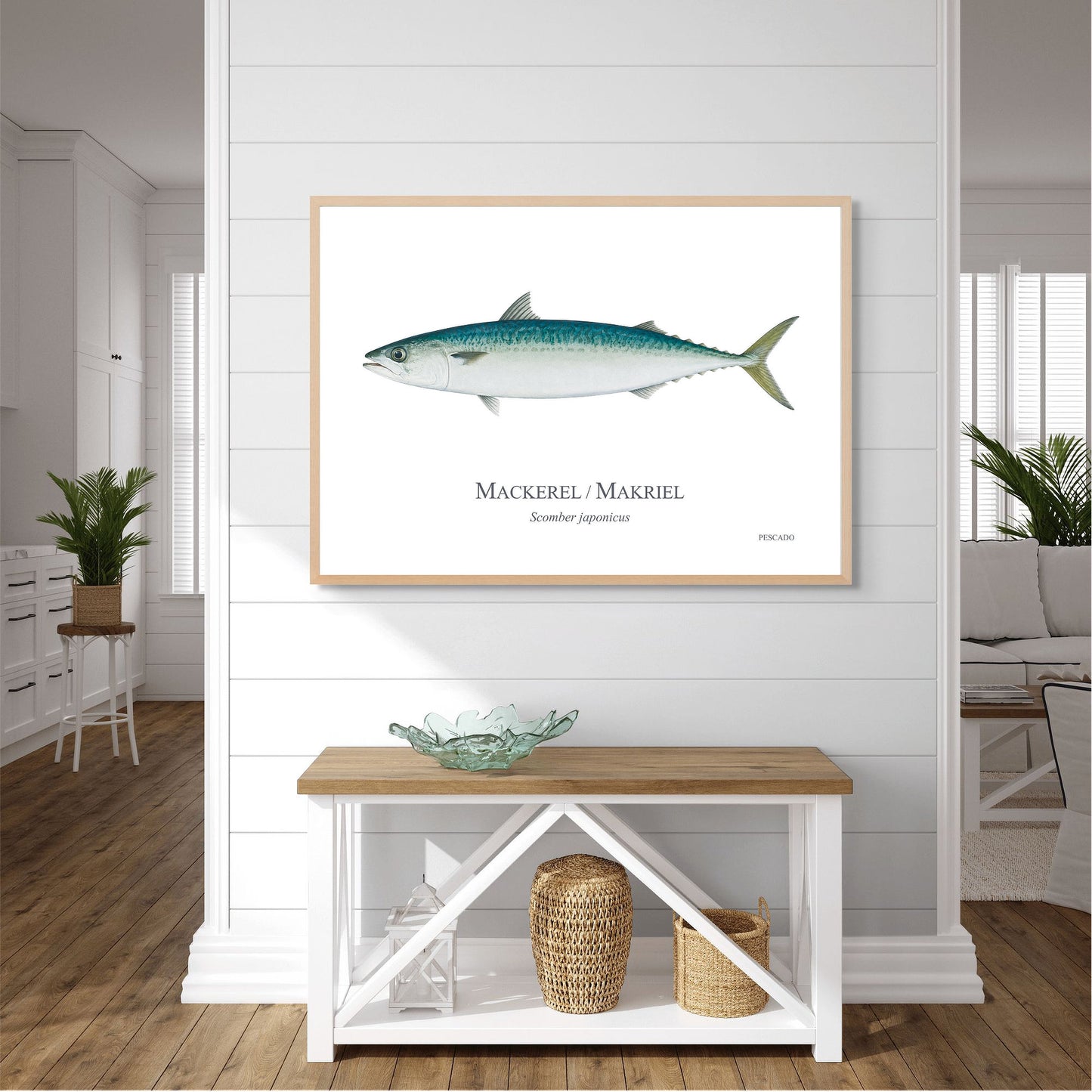 Mackerel / Makriel