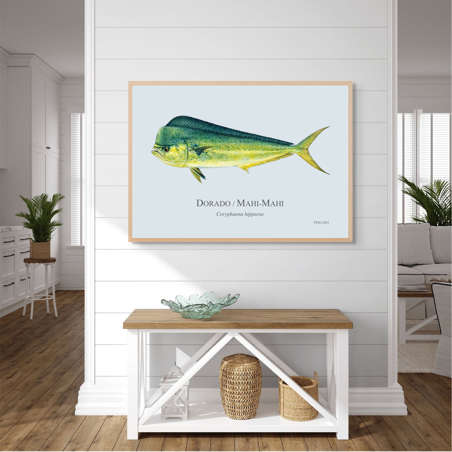 Dorado
