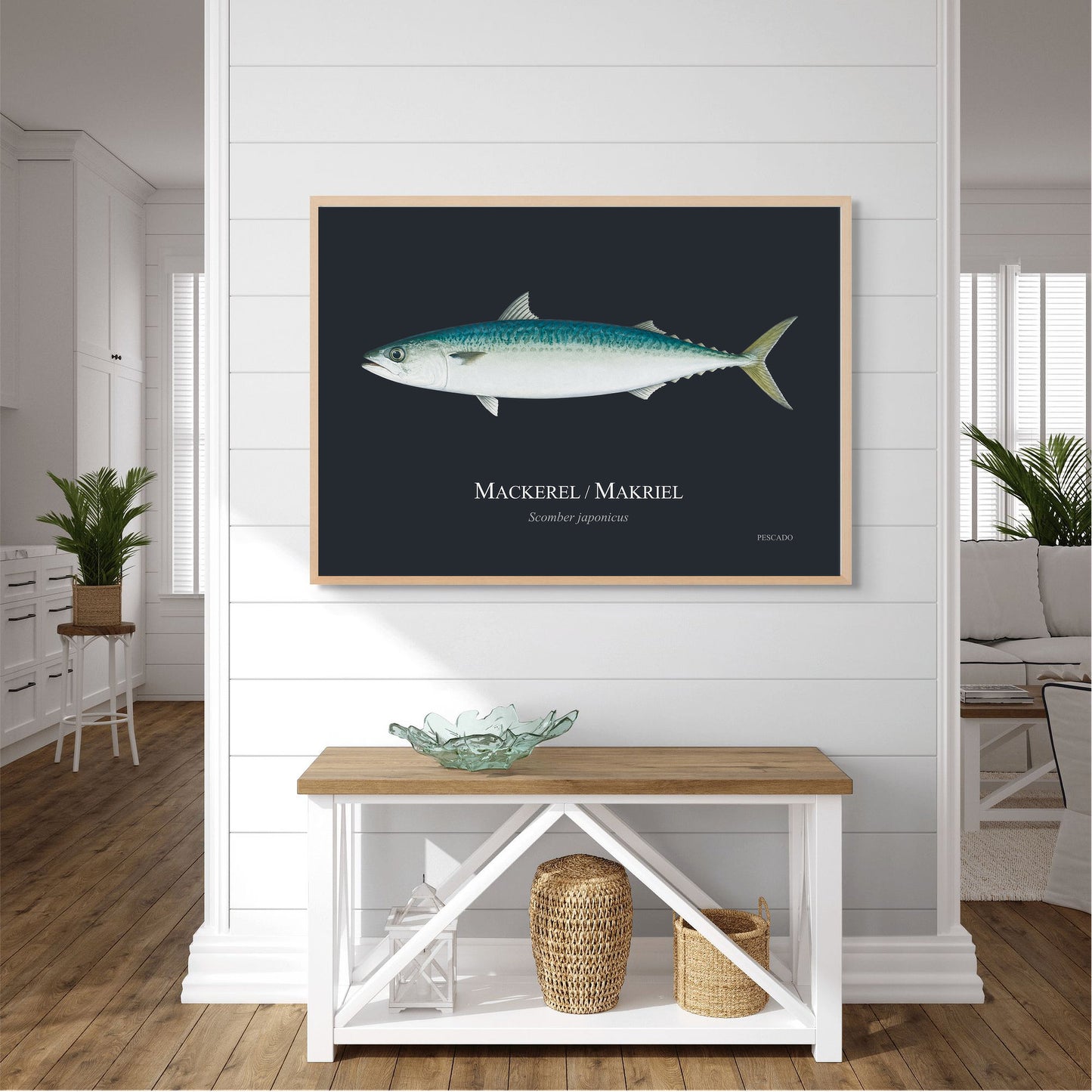 Mackerel / Makriel