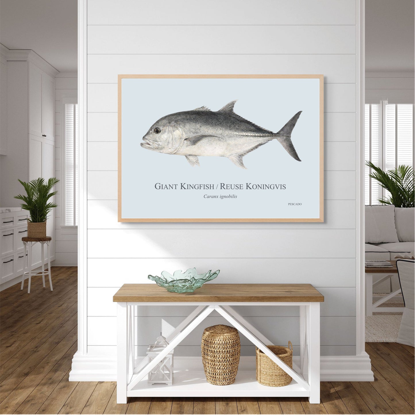 Giant Kingfish