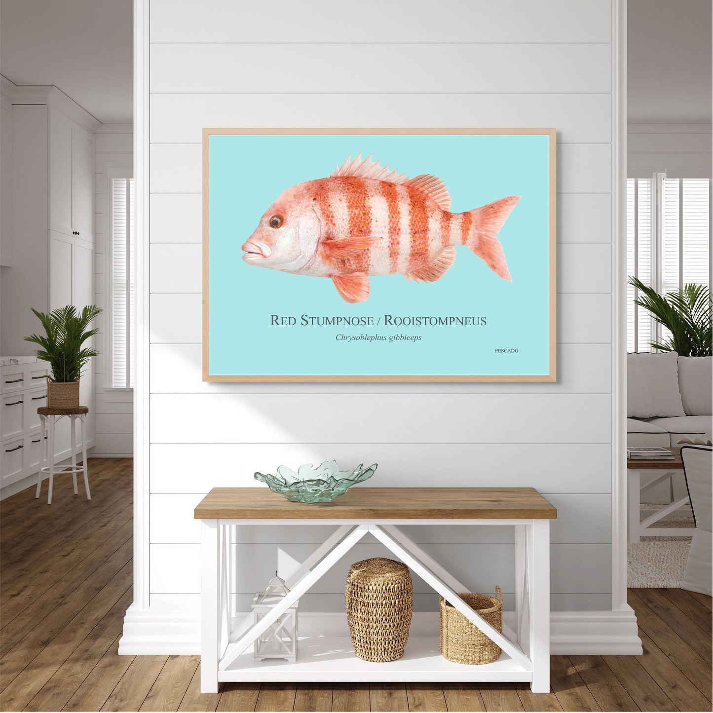 Red Stumpnose