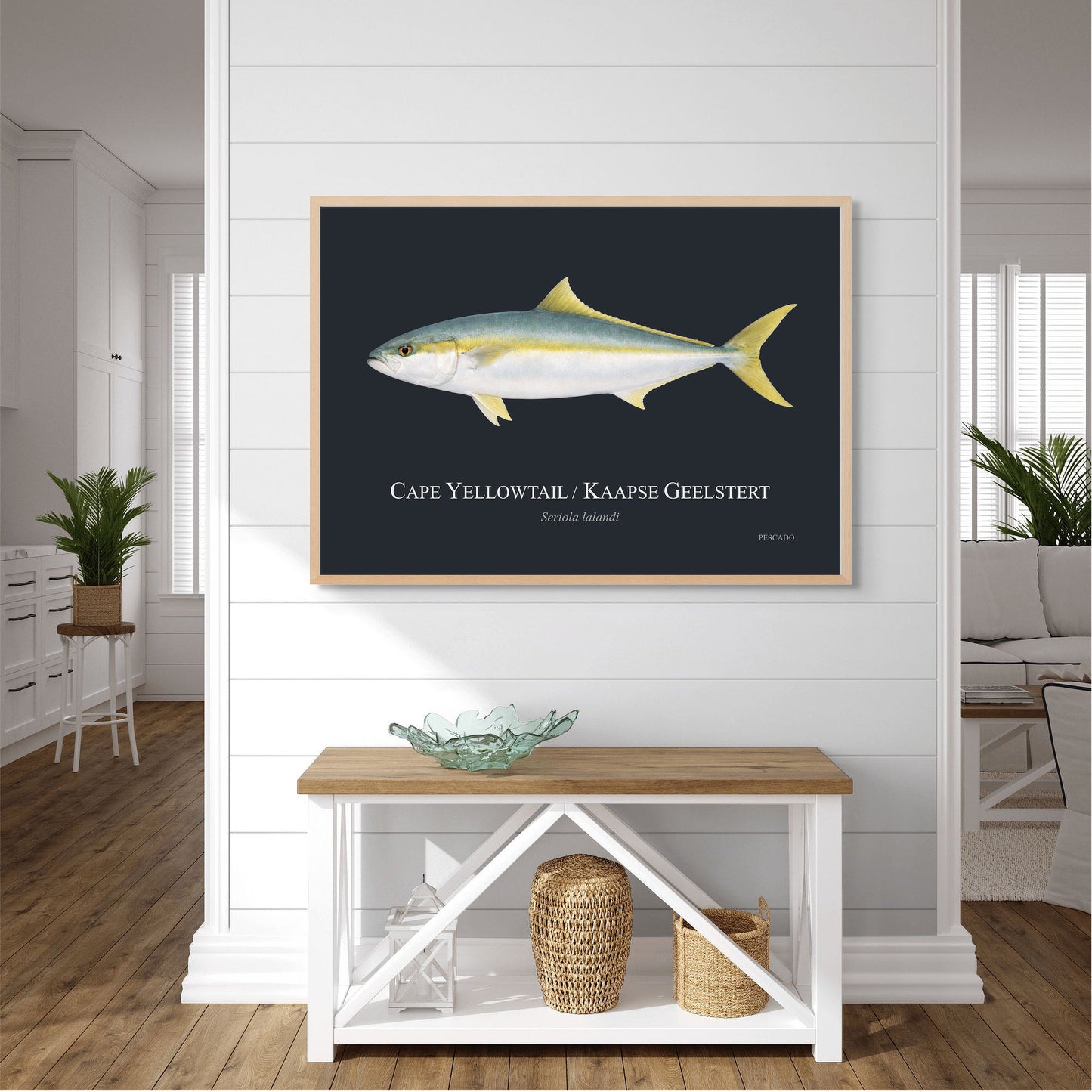 Cape Yellowtail