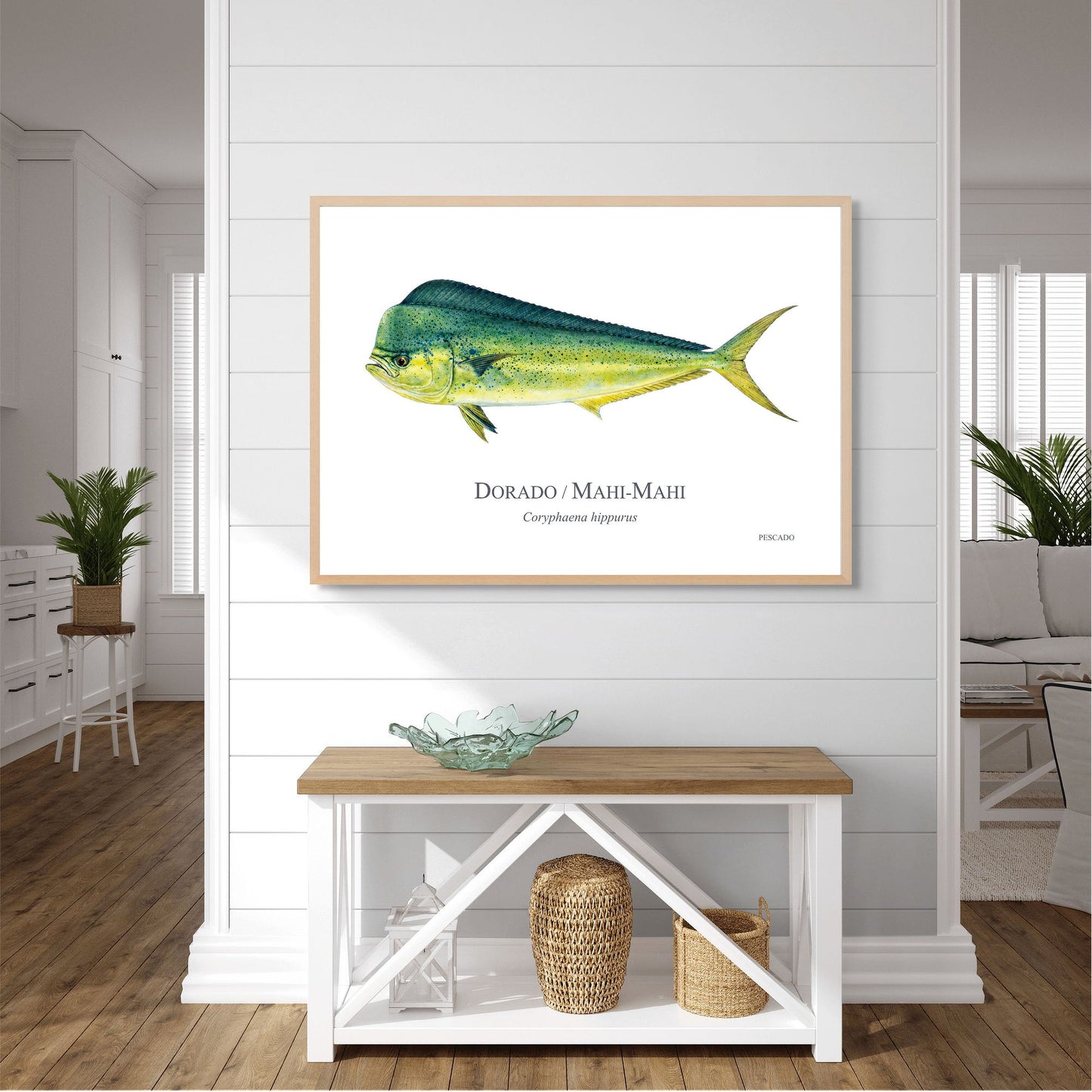 Dorado