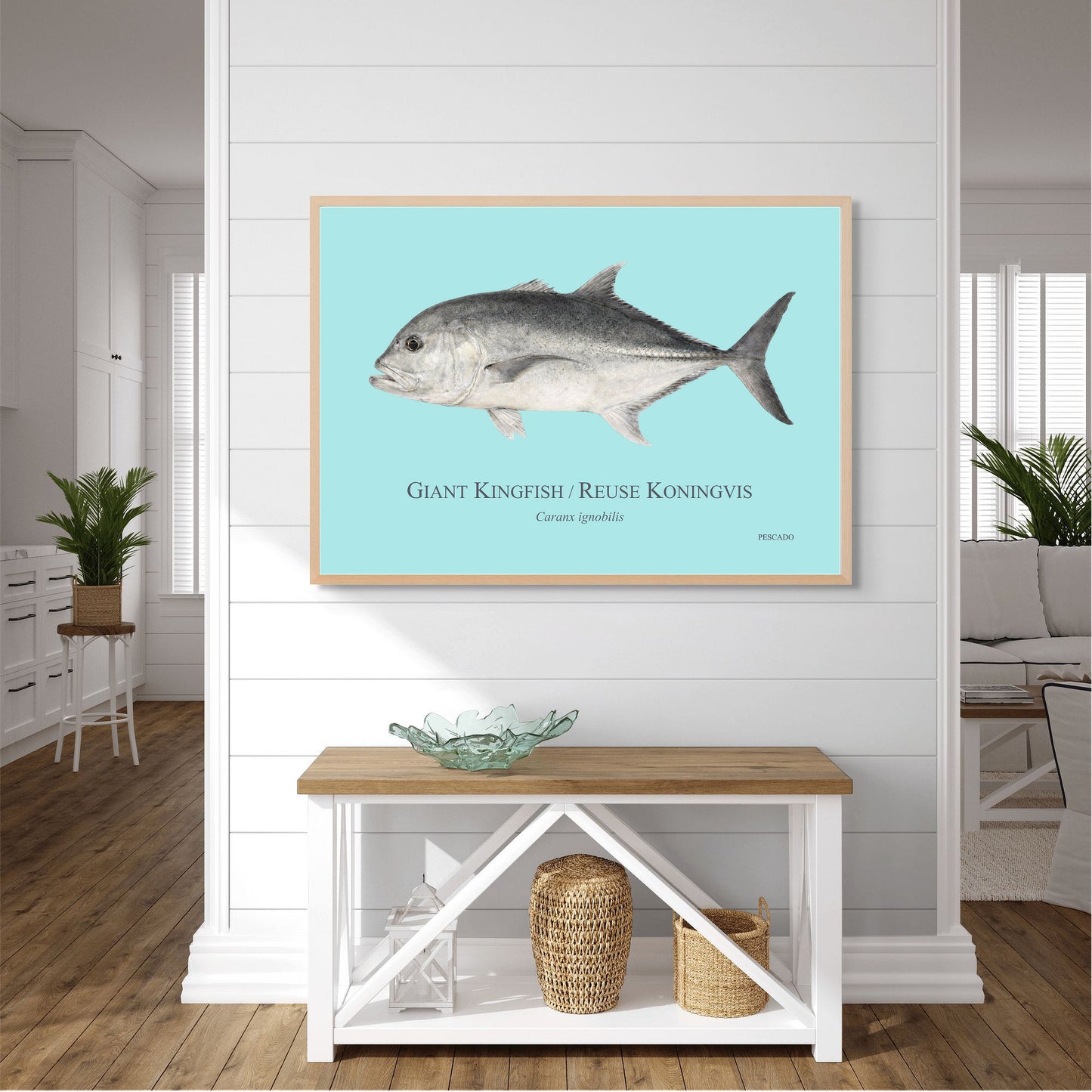 Giant Kingfish
