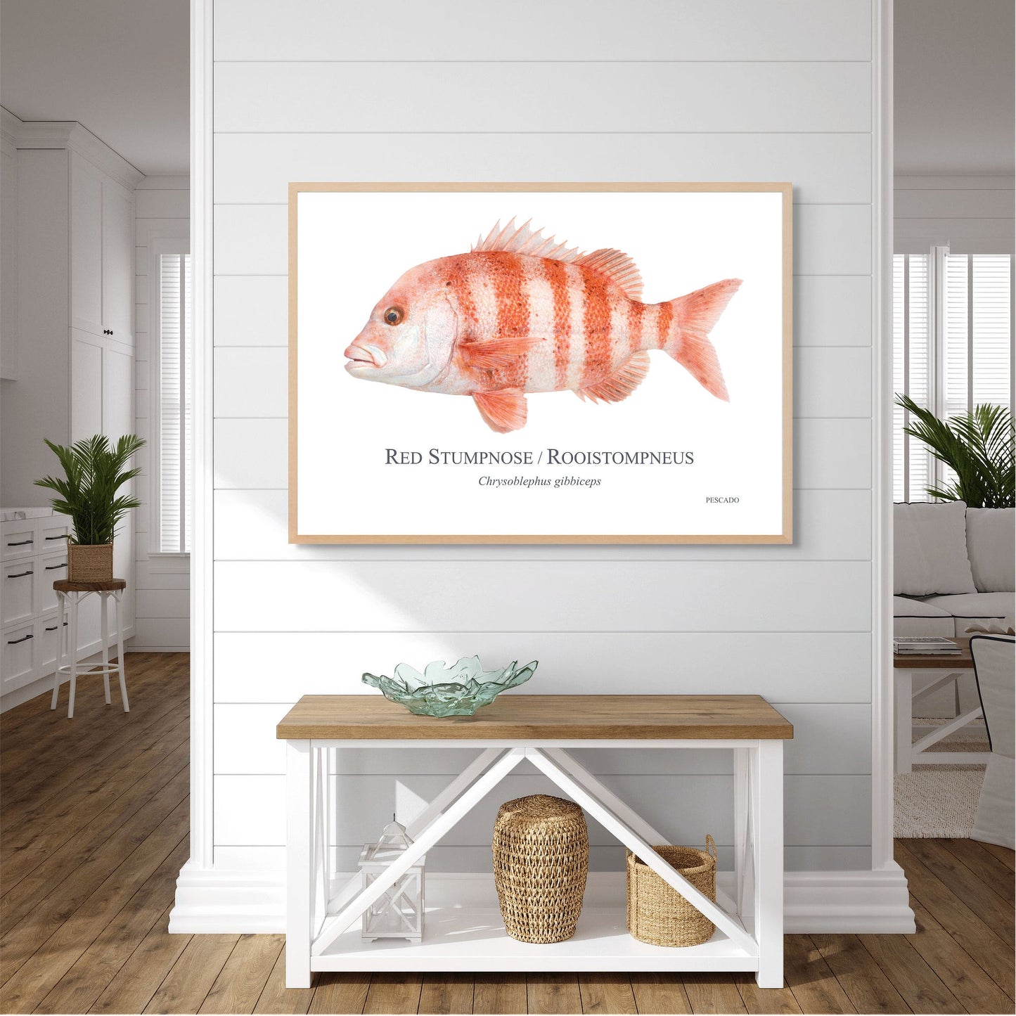 Red Stumpnose