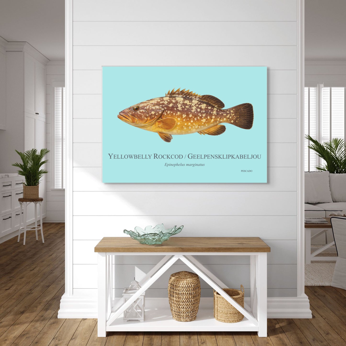 Yellowbelly Rockcod