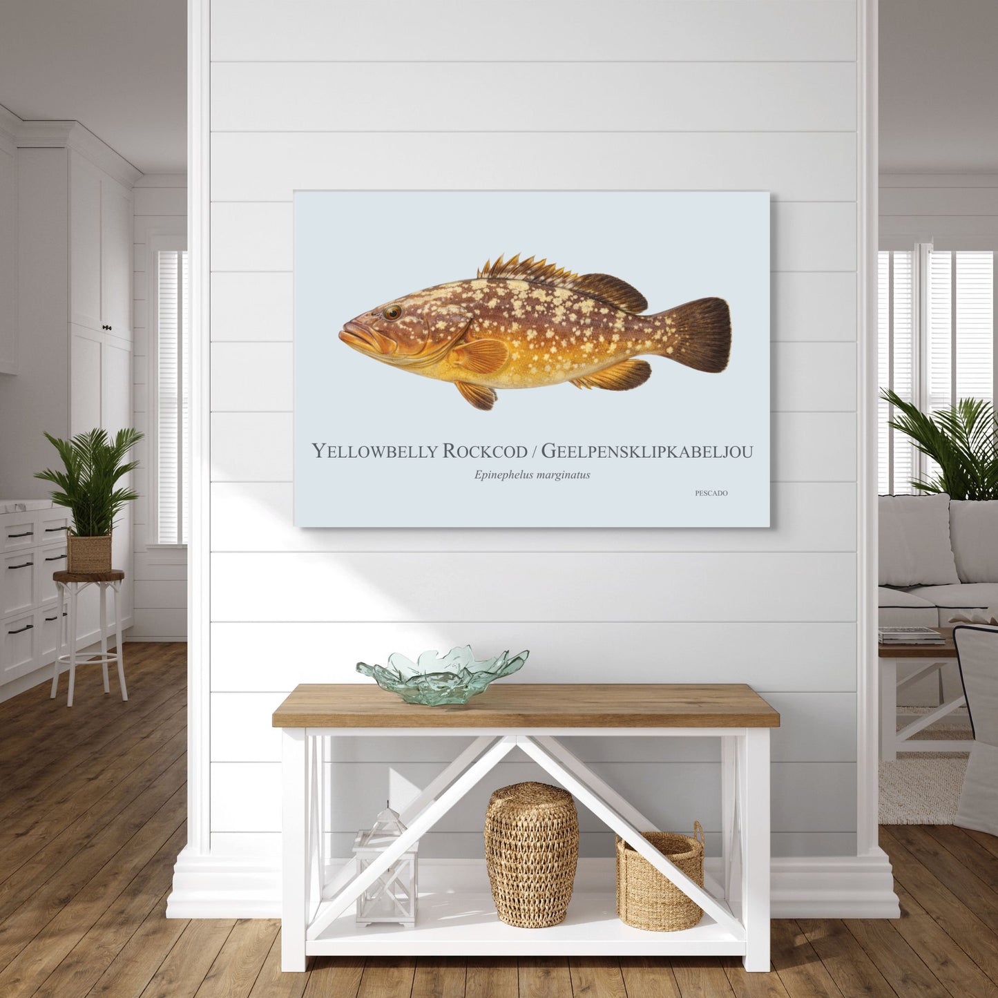 Yellowbelly Rockcod