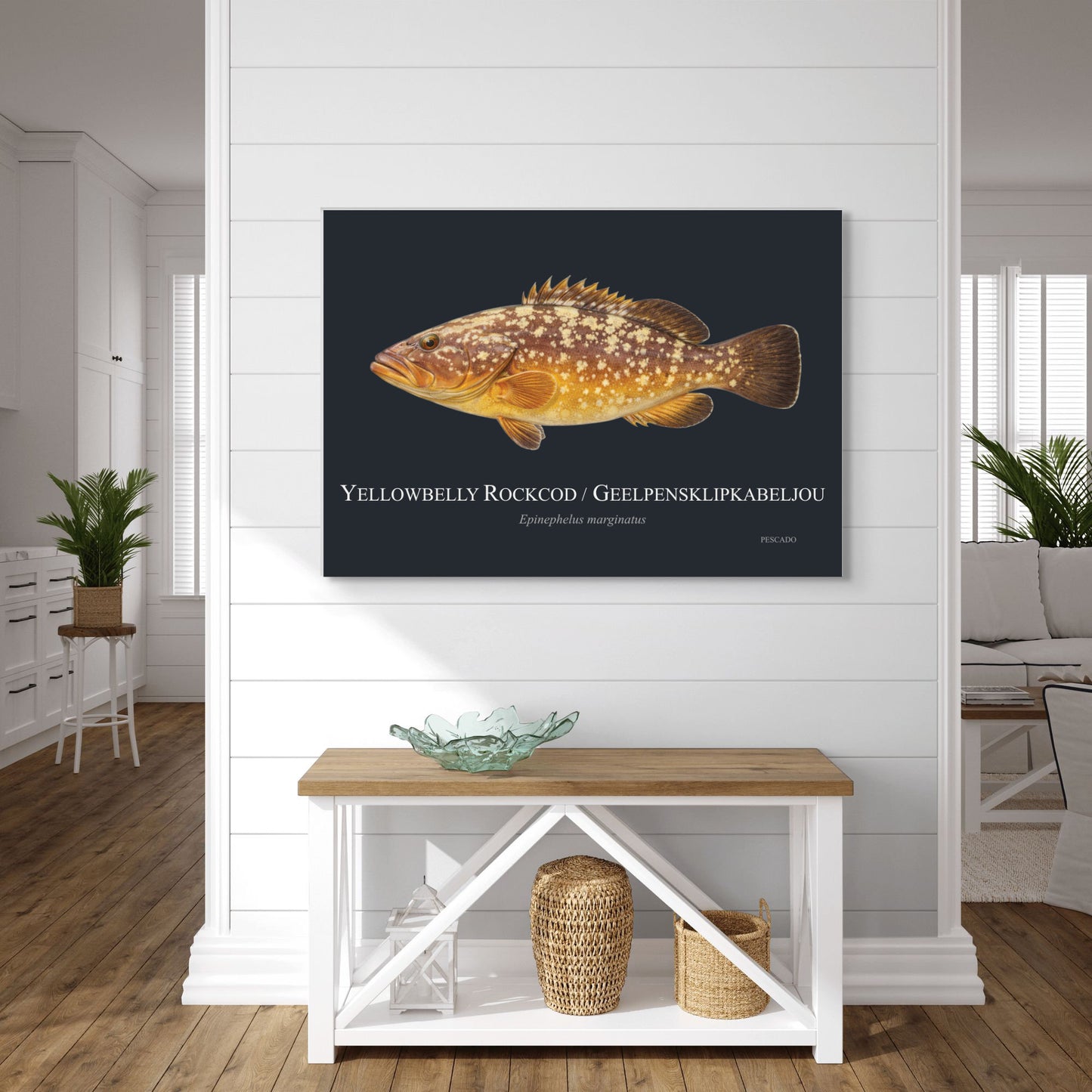 Yellowbelly Rockcod